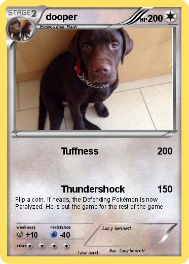 Pokemon dooper