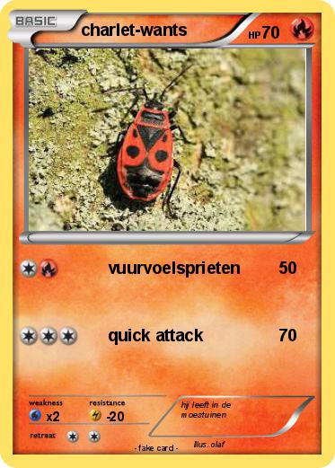 Pokemon charlet-wants
