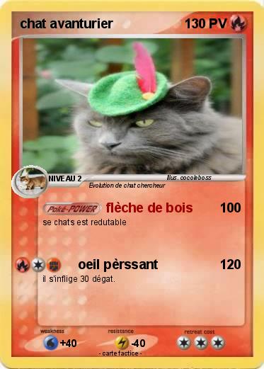 Pokemon chat avanturier