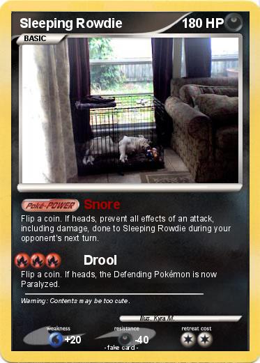 Pokemon Sleeping Rowdie