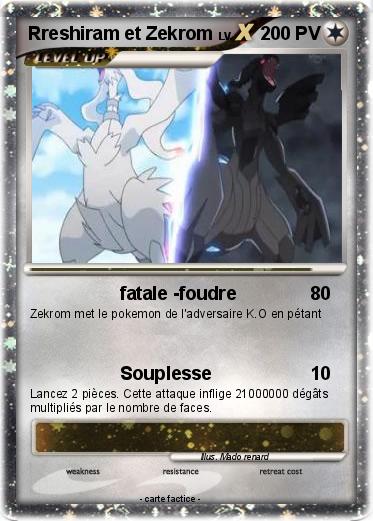 Pokemon Rreshiram et Zekrom