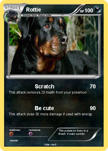Pokemon Rottie