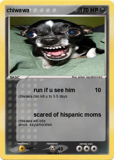 Pokemon chiwawa
