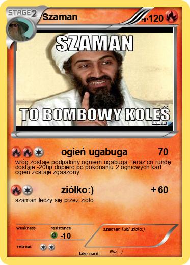 Pokemon Szaman