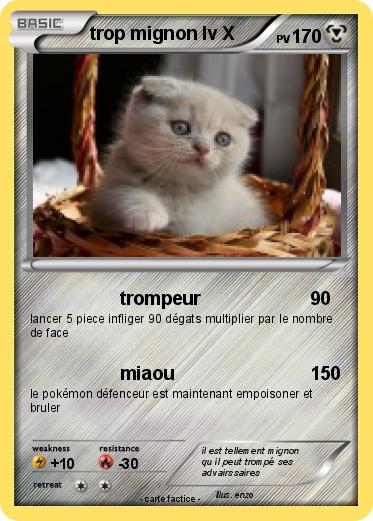 Pokemon trop mignon lv X