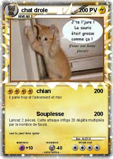 Pokemon chat drole