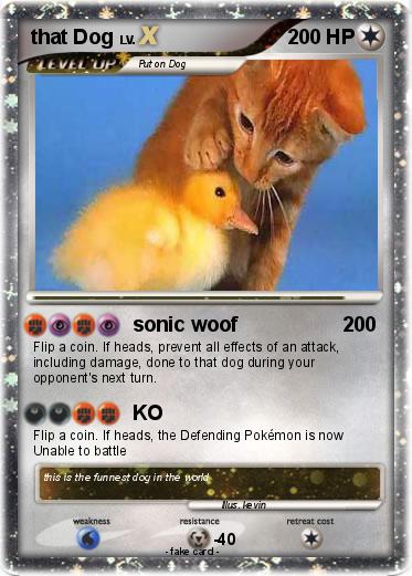 Pokemon that Dog