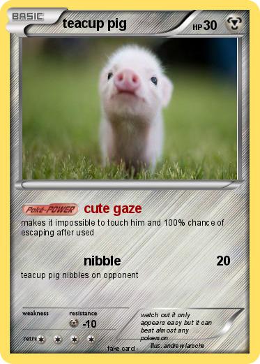 Pokemon teacup pig