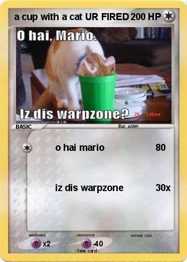 Pokemon a cup with a cat UR FIRED