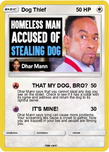 Pokemon Dog Thief