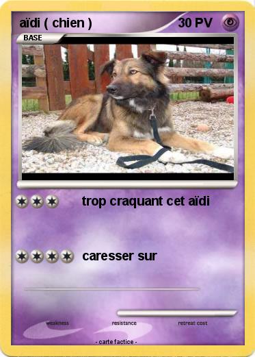 Pokemon aïdi ( chien )