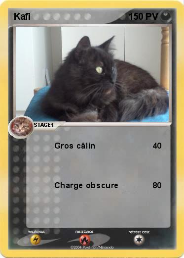Pokemon Kafi