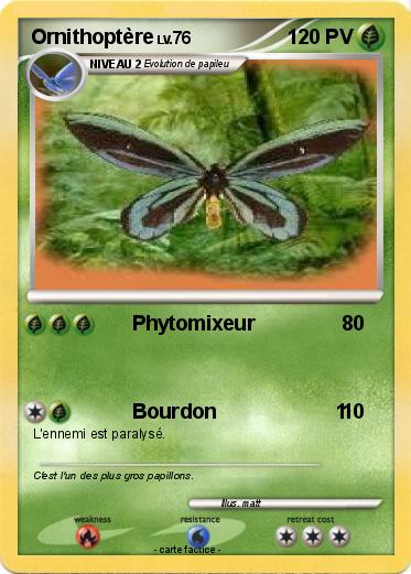 Pokemon Ornithoptère