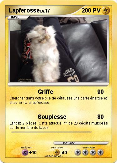 Pokemon Lapferosse