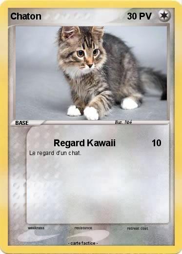 Pokemon Chaton
