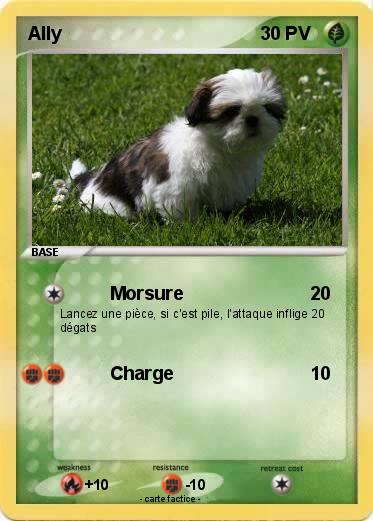 Pokemon Ally