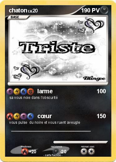 Pokemon chaton