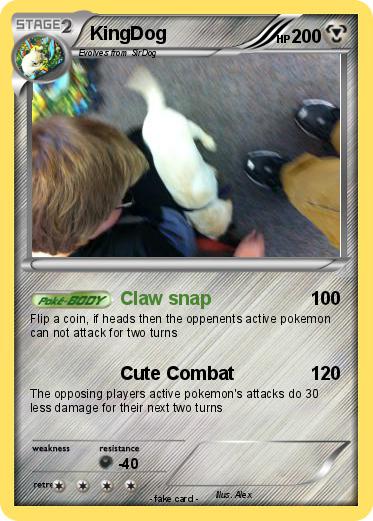 Pokemon KingDog
