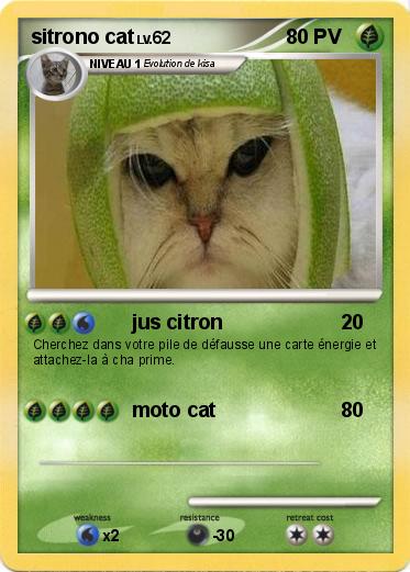 Pokemon sitrono cat