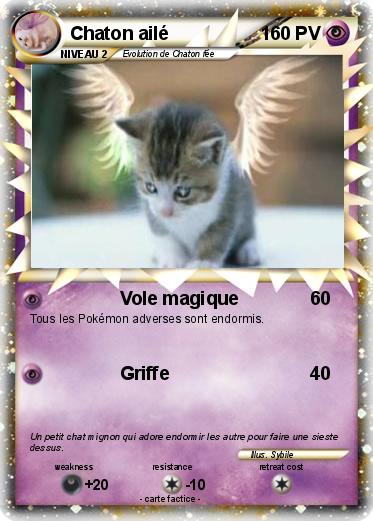 Pokemon Chaton ailé