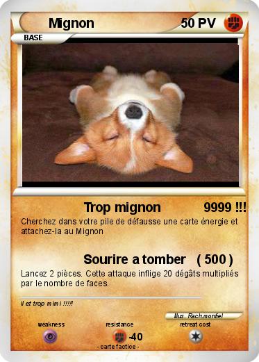 Pokemon Mignon