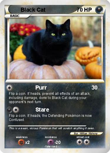 Pokemon Black Cat