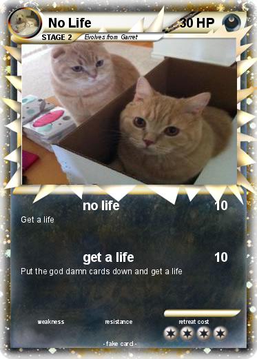 Pokemon No Life