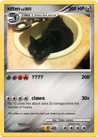 Pokemon kitten