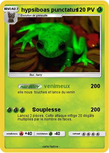 Pokemon hypsiboas punctatus
