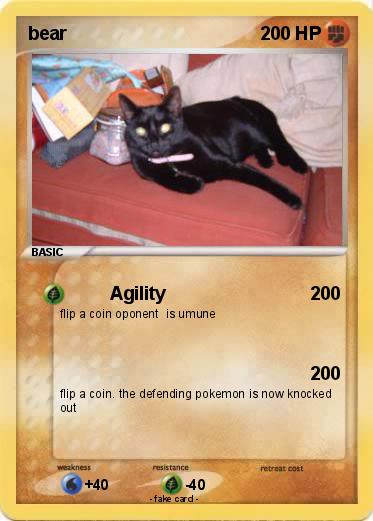 Pokemon bear