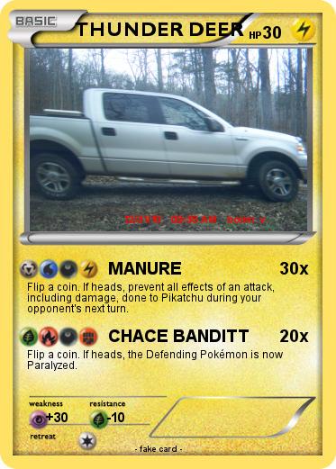 Pokemon THUNDER DEER