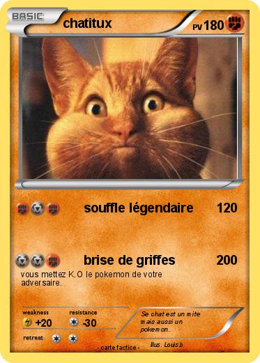 Pokemon chatitux