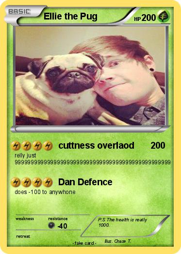 Pokemon Ellie the Pug