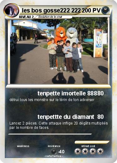Pokemon les bos gosse222 222