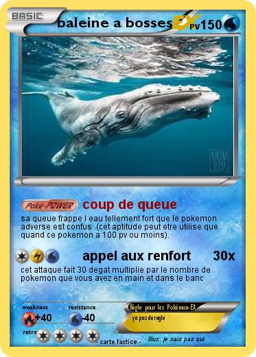 Pokemon baleine a bosses