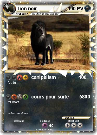 Pokemon lion noir
