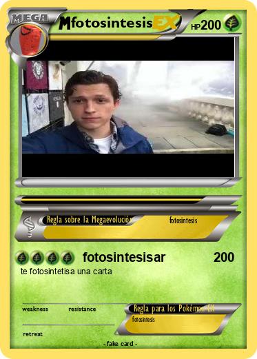 Pokemon fotosintesis