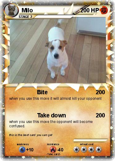 Pokemon Milo