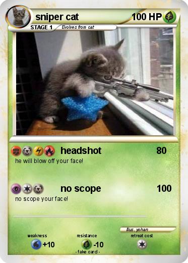 Pokemon sniper cat