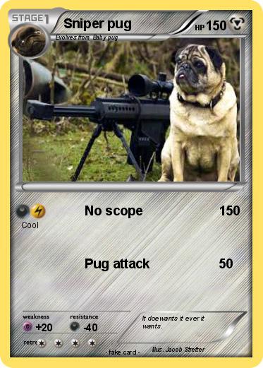 Pokemon Sniper pug