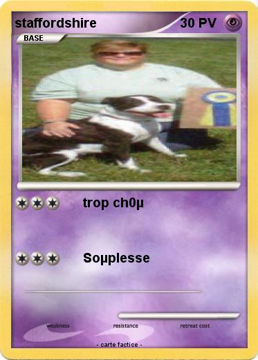 Pokemon staffordshire