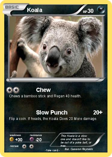 Pokemon Koala
