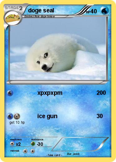 Pokemon doge seal