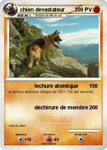 Pokemon chien devastateur