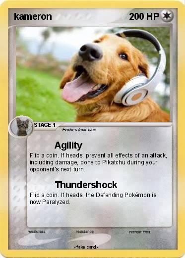 Pokemon kameron