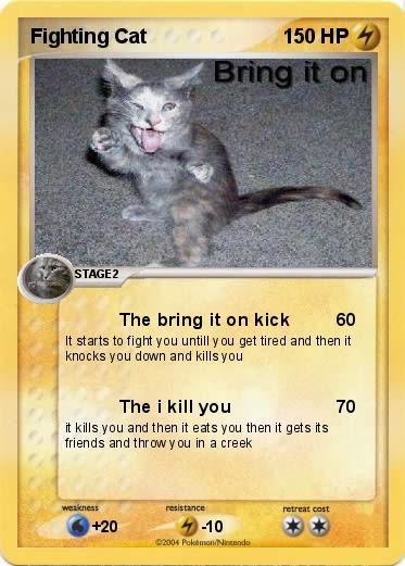 Pokemon Fighting Cat