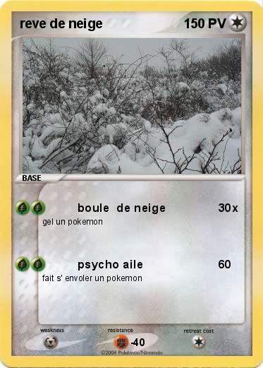 Pokemon reve de neige