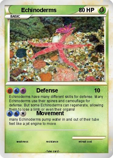 Pokemon Echinoderms