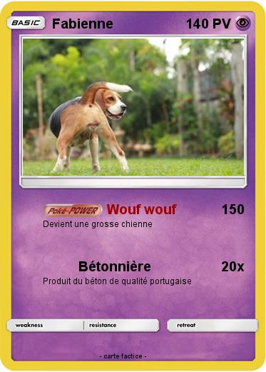 Pokemon Fabienne