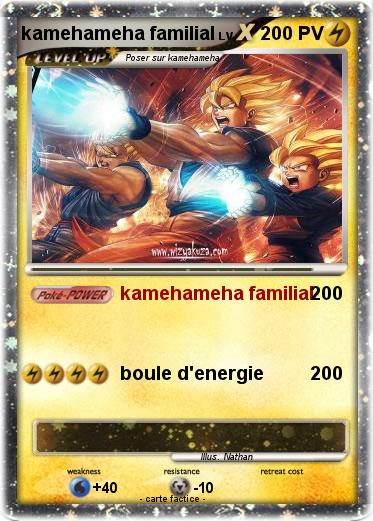Pokemon kamehameha familial